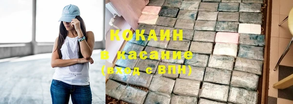 дживик Верхний Тагил