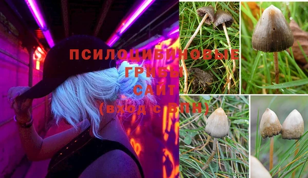 бошки Бугульма