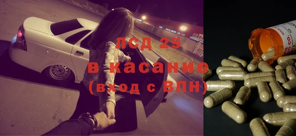 дживик Верхний Тагил