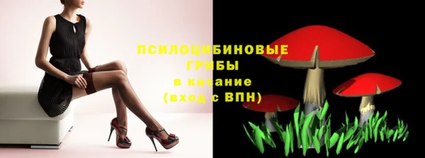 дживик Верхний Тагил