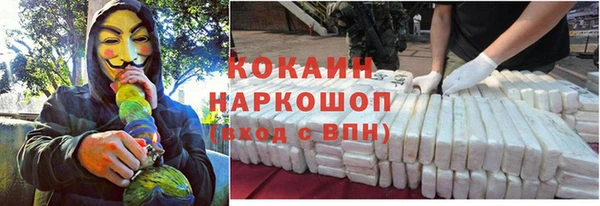 дживик Верхний Тагил